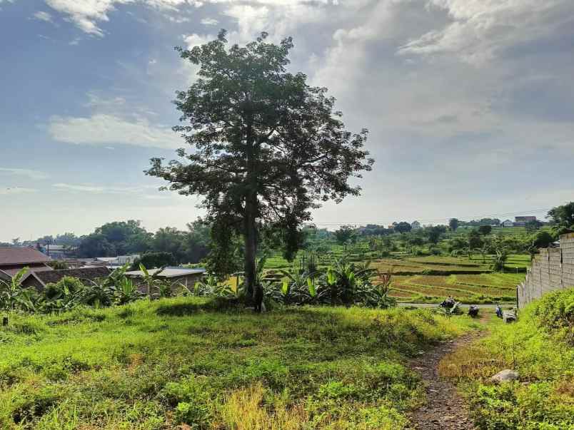 dijual tanah patuk candi wates kec