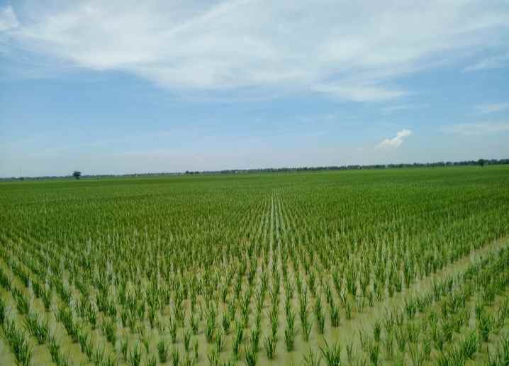 dijual tanah perum 150 hektar bekasi