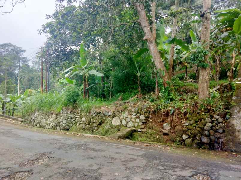 dijual tanah pinggir jalan desa lokasi strtegis