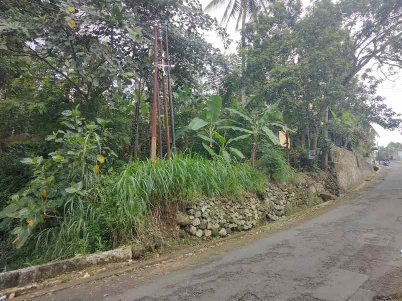 dijual tanah pinggir jalan desa lokasi strtegis