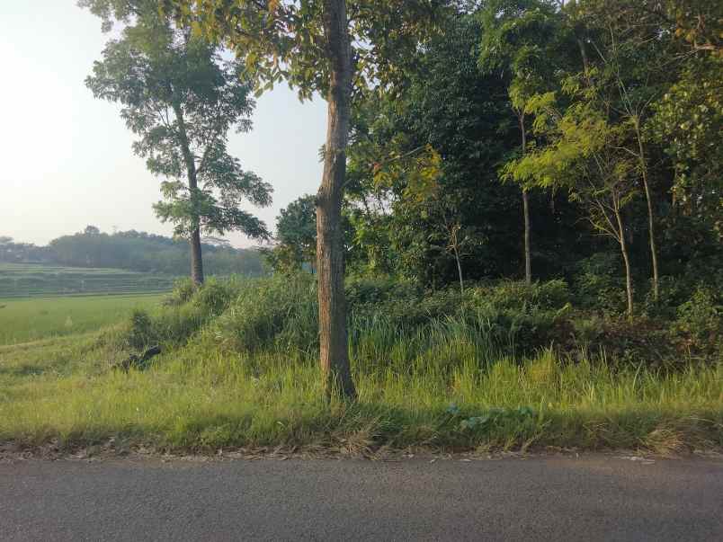 dijual tanah pinggir jalan kabupaten