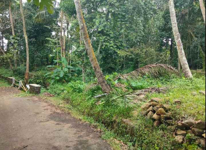 dijual tanah rando bawa kec mandirancan