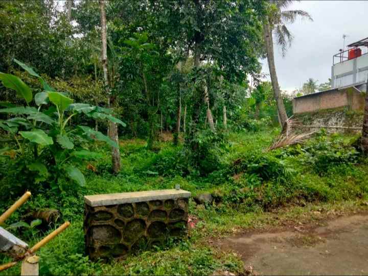 dijual tanah rando bawa kec mandirancan