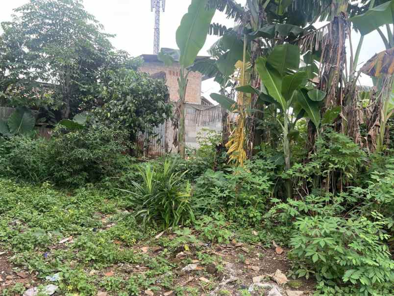 dijual tanah ratu jaya