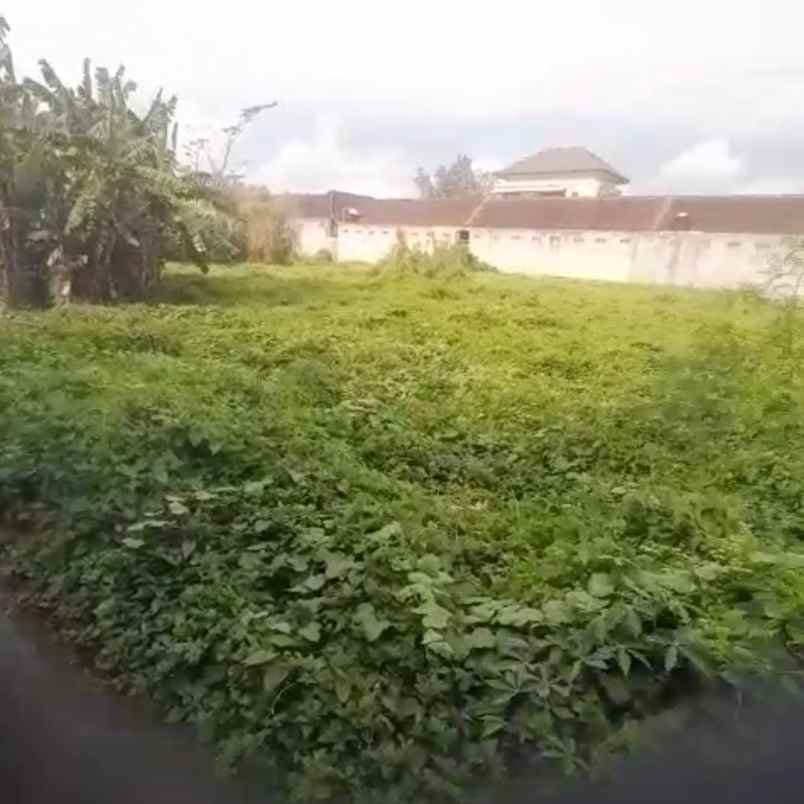 dijual tanah raya denpasar gilimanuk