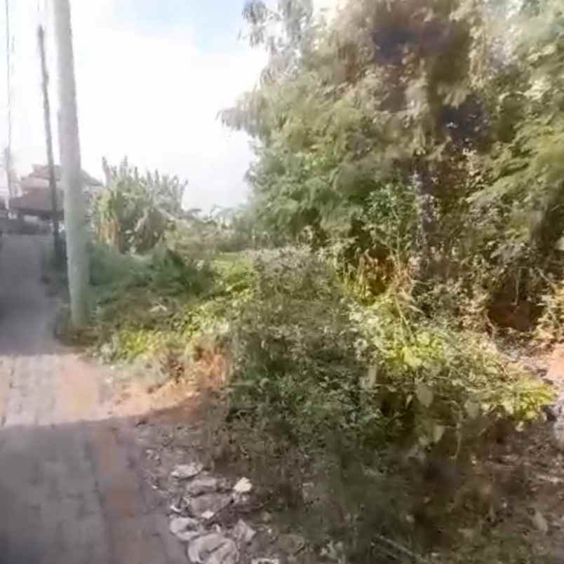 dijual tanah raya denpasar gilimanuk