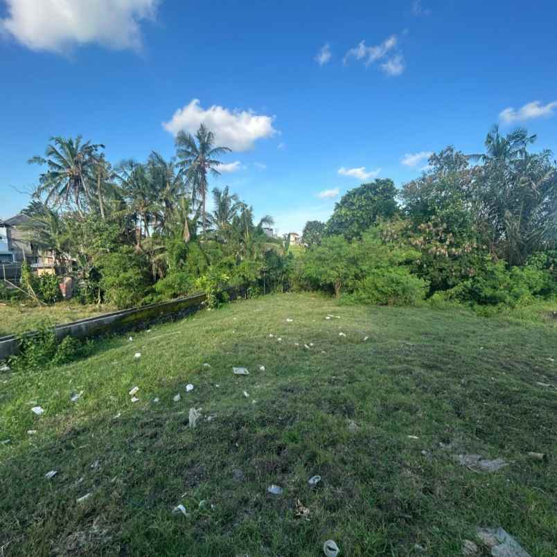 dijual tanah raya munggu kapal selingsing