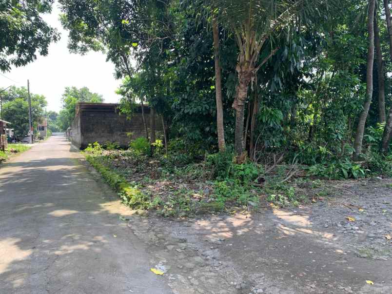 dijual tanah sambiroto purwomartani kec