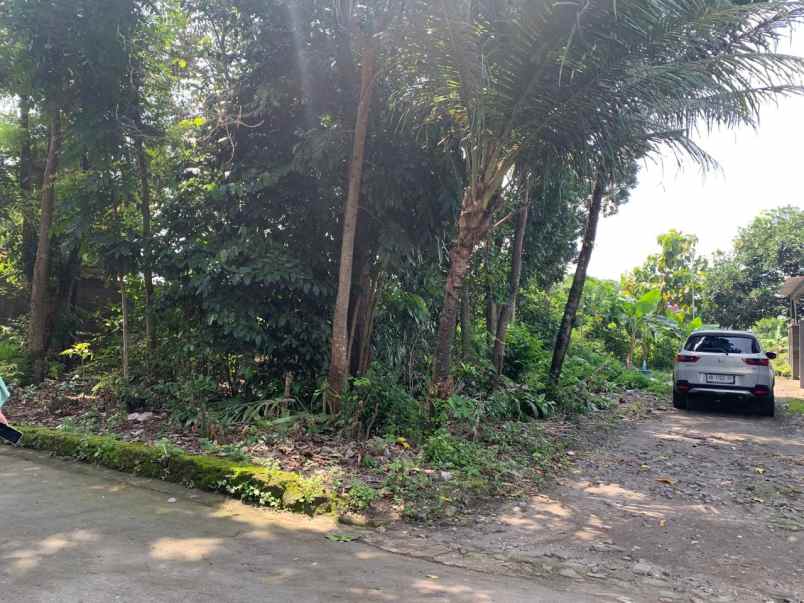 dijual tanah sambiroto purwomartani kec