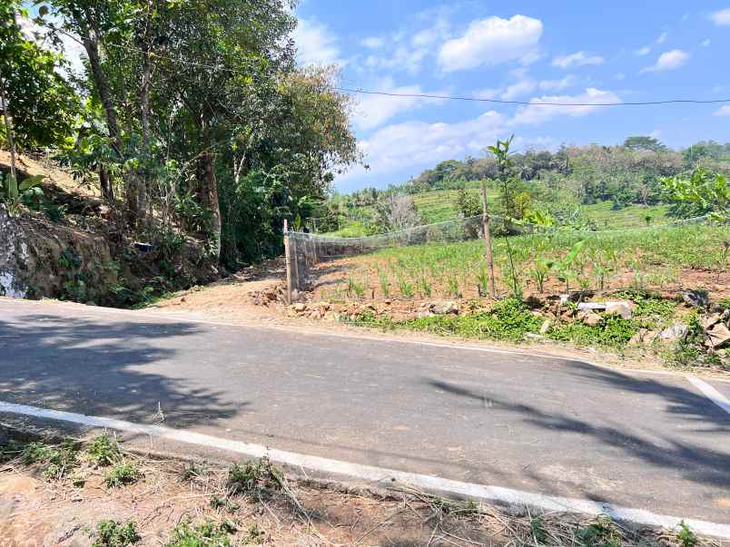 dijual tanah sawah 3x panen karangpandan karanganyar