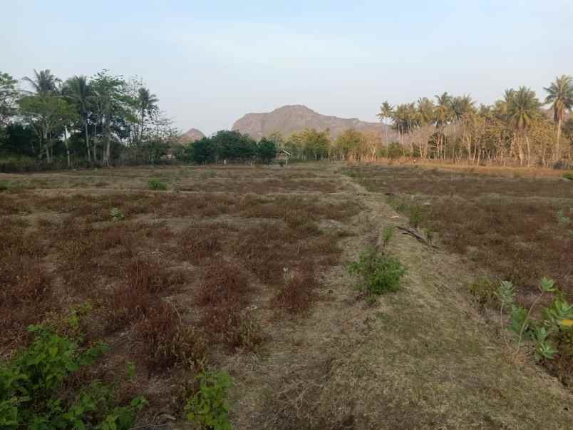 dijual tanah sekongkang atas sumbawa