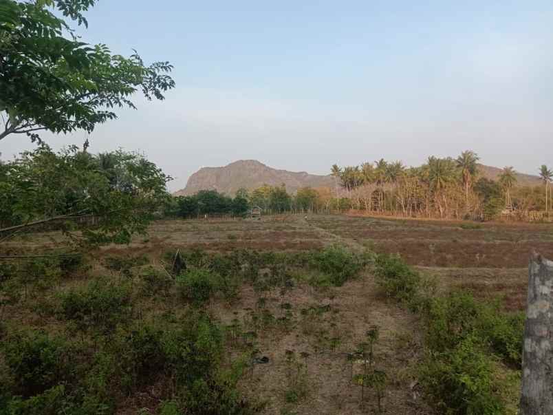 dijual tanah sekongkang atas sumbawa