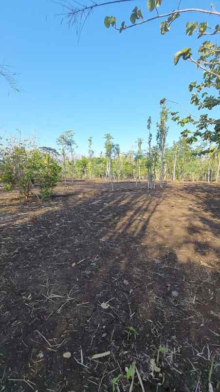 dijual tanah semanu gunung kidul yogyakarta