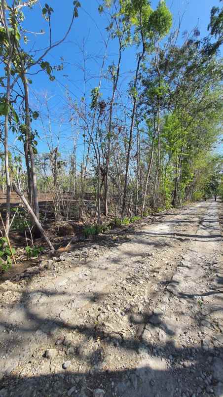 dijual tanah semanu gunung kidul yogyakarta