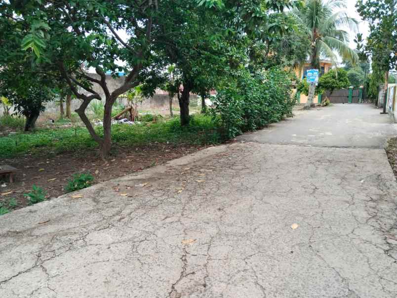 dijual tanah shm lokasi jalan maskarebet km 10