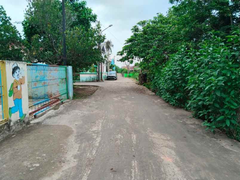 dijual tanah shm lokasi jalan maskarebet km 10