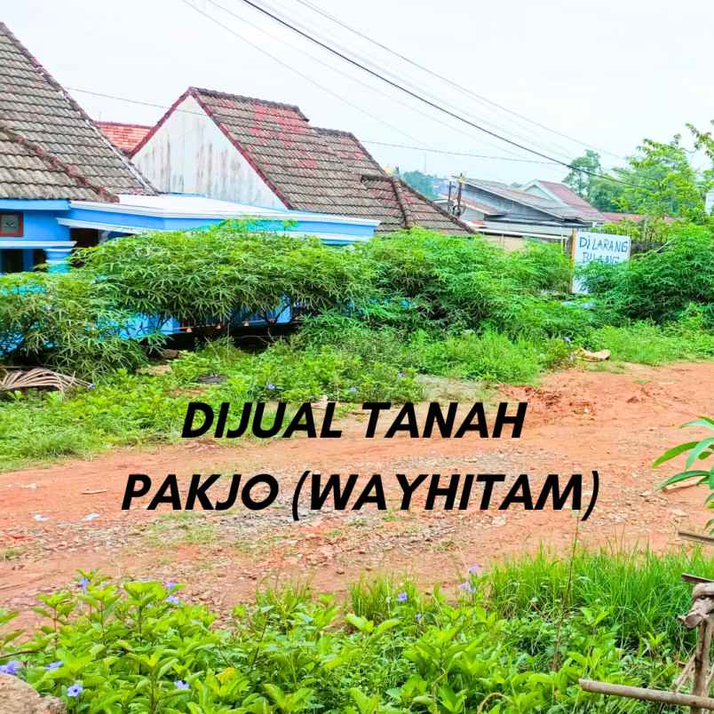 dijual tanah siap bangun lokasi pakjo way hitam