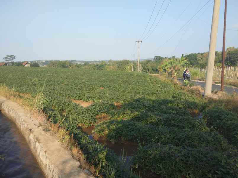 dijual tanah strategis pinggir jalan view gunung