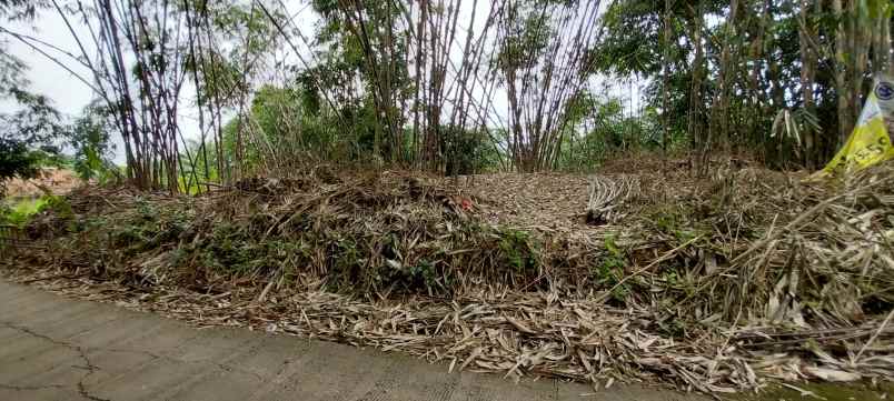 dijual tanah sukabungah bojongmangu