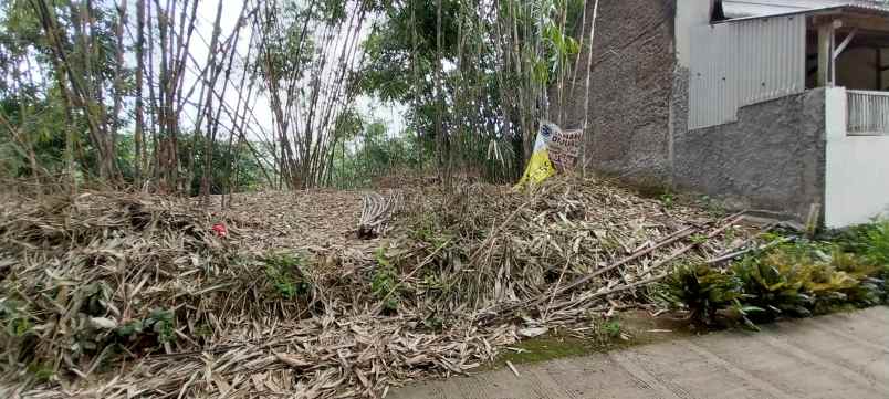 dijual tanah sukabungah bojongmangu