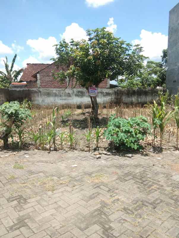 dijual tanah sumbersari