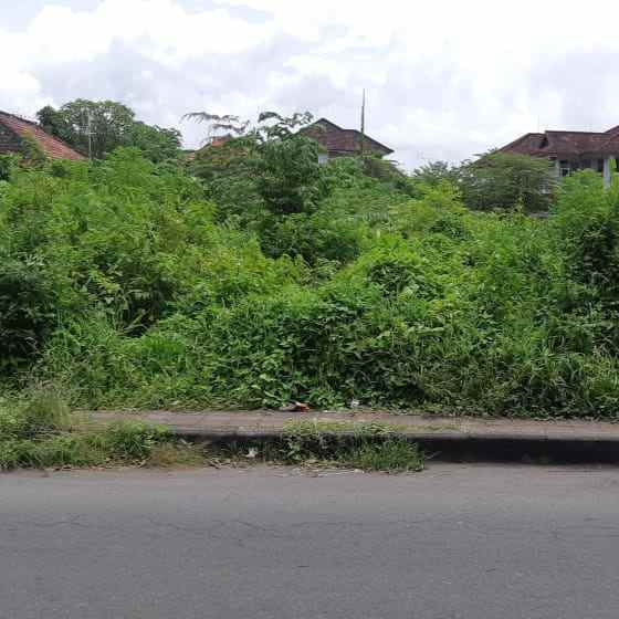 dijual tanah suwung kangin