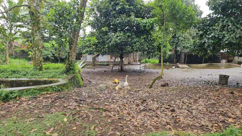 dijual tanah tamansari