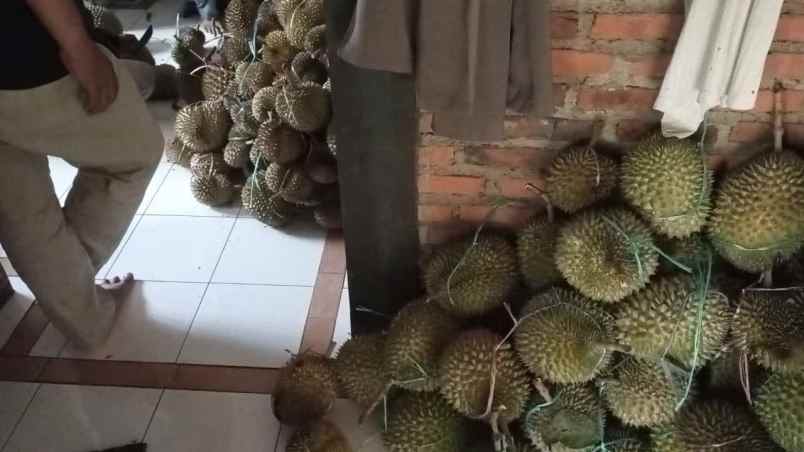 dijual tanah tamansari