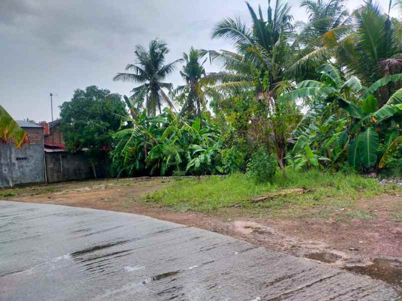 dijual tanah tawangsari pengasih