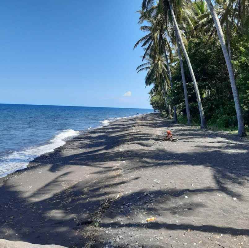 dijual tanah tembok buleleng bali