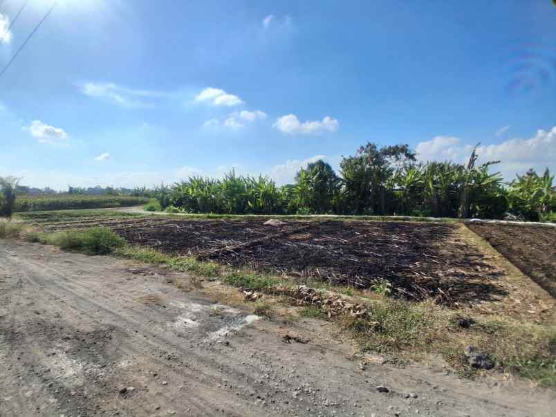 dijual tanah tibubiyu kerambitan