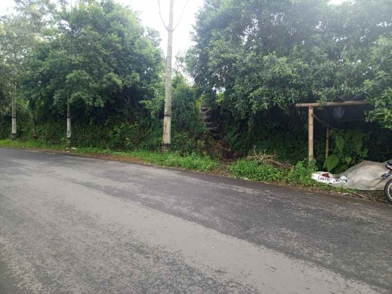 dijual tanah tulungrejo