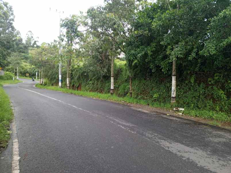 dijual tanah tulungrejo