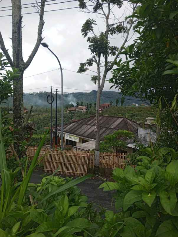 dijual tanah tulungrejo