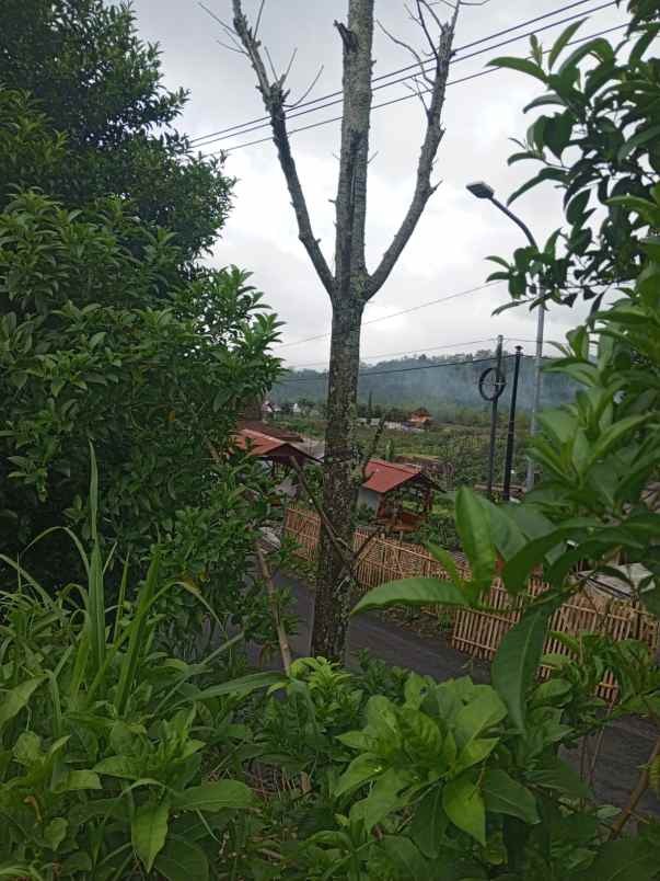 dijual tanah tulungrejo