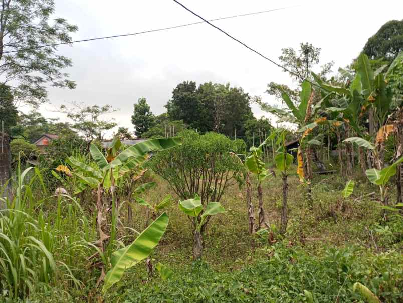 dijual tanah umbulmartani