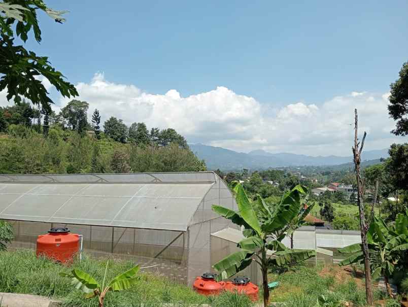 dijual villa greenhouse gunung geulis