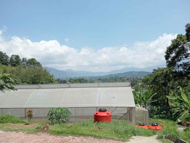 dijual villa greenhouse gunung geulis