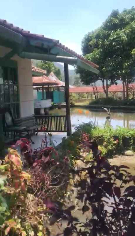 dijual villa jambu ciwidey kabupaten bandung