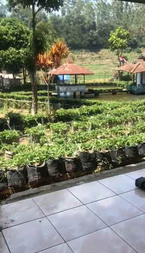 dijual villa jambu ciwidey kabupaten bandung