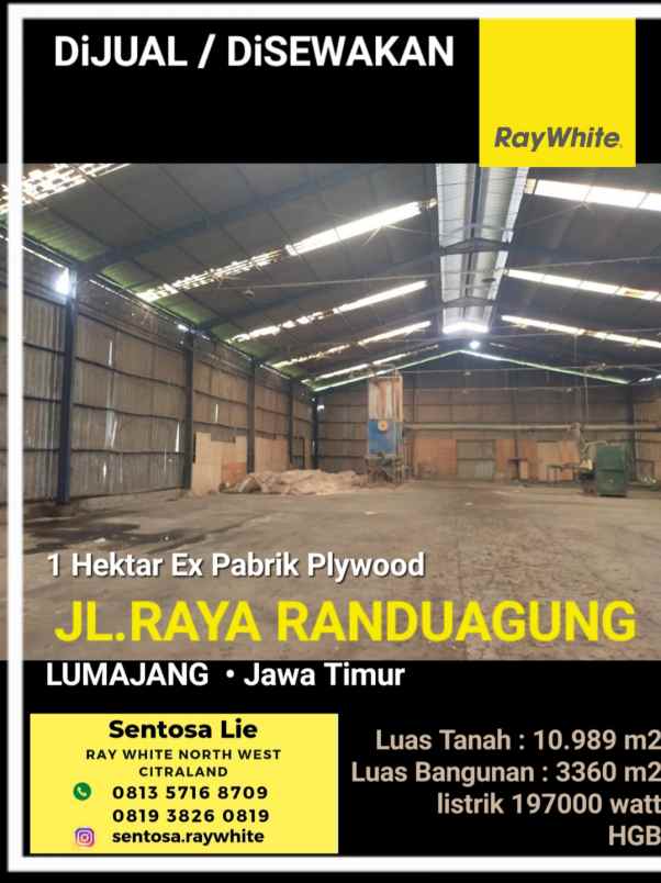 disewakan ruko gudang kantor jalan raya randuagung