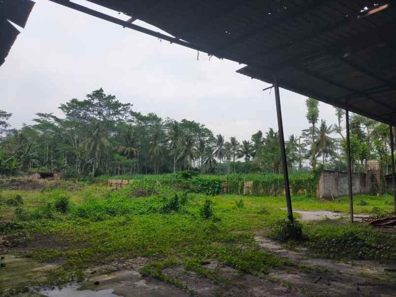 disewakan ruko gudang kantor jalan raya randuagung