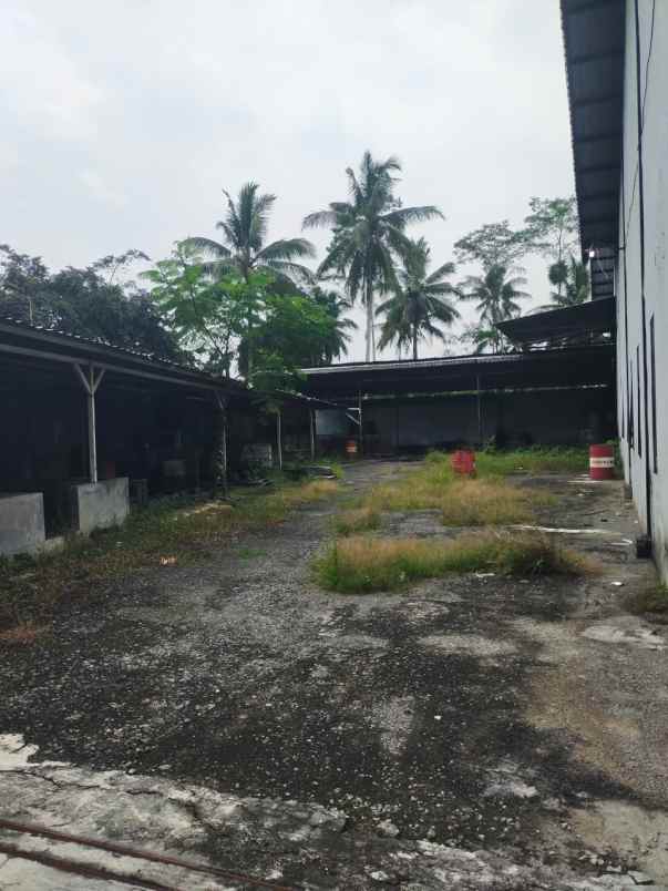 disewakan ruko gudang kantor jalan raya randuagung