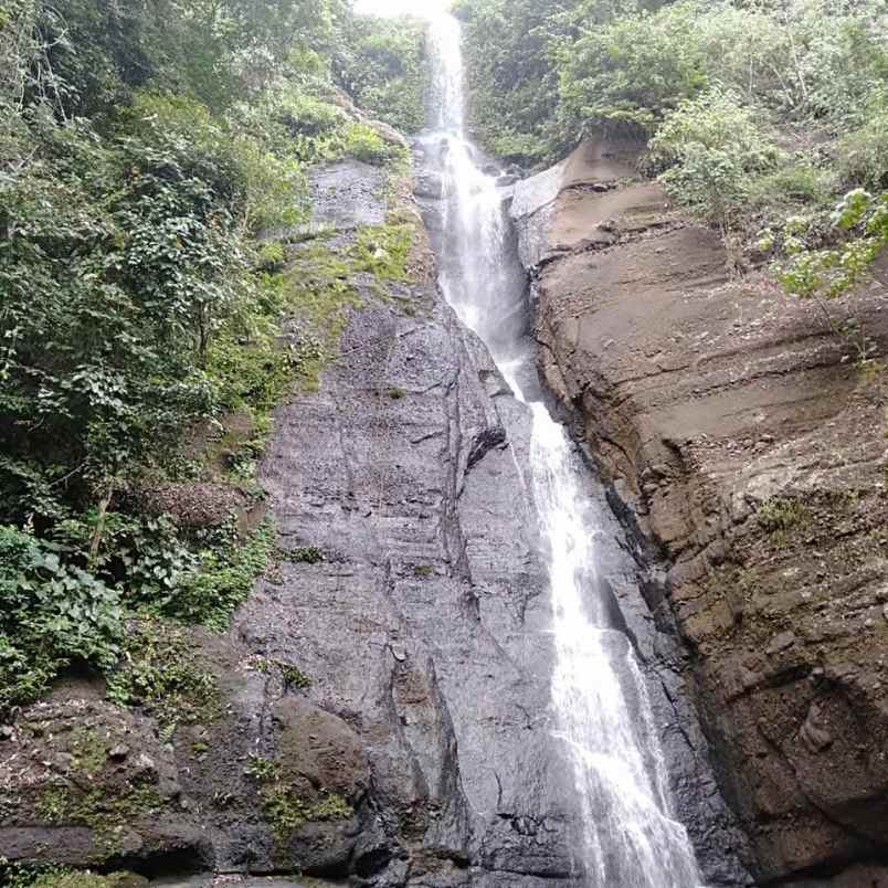 disewakan tanah desa angkah selemadeg