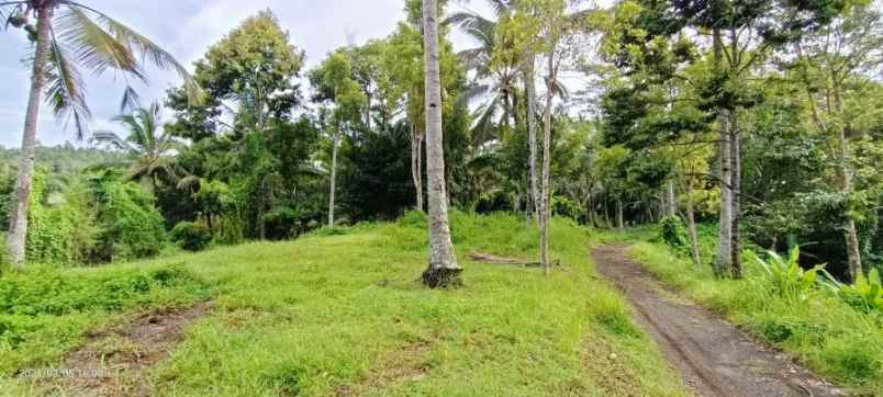 disewakan tanah gunung salak tabanan bali