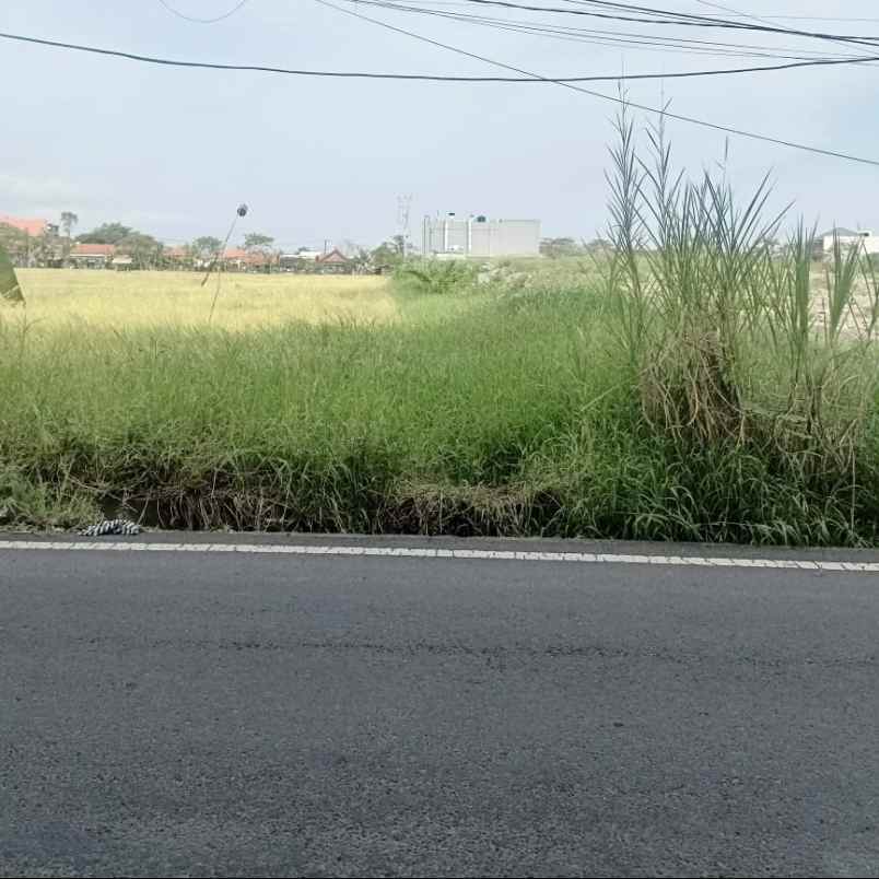 disewakan tanah tibubeneng