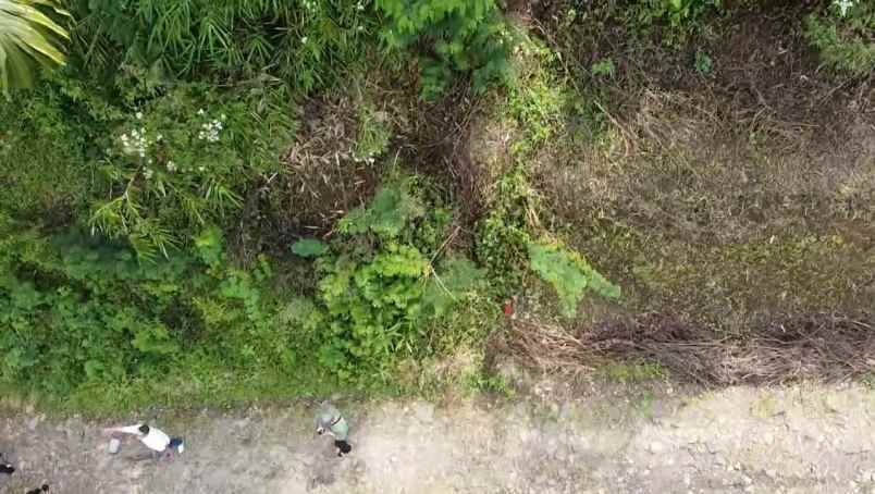 jual tanah bandung ciwidey