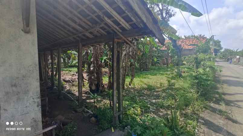 jual tanah di pendem rt 19 sumberlawang sragen