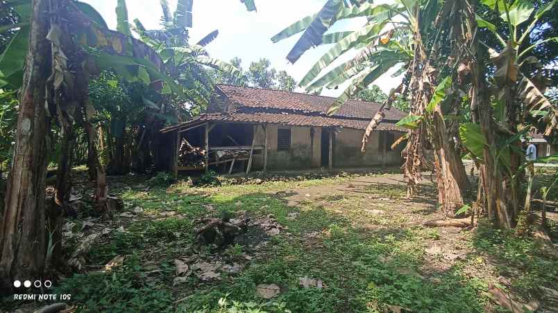 jual tanah di pendem rt 19 sumberlawang sragen