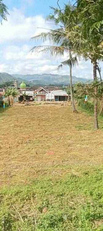 jual tanah kavling majang tengah